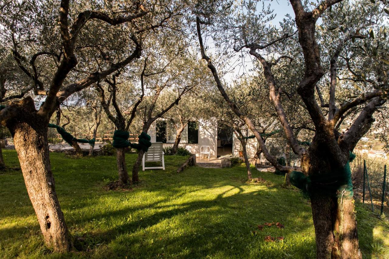 Agri Bed - L'Affittacamere In Collina - Guest Room On The Hill Lavagna Buitenkant foto