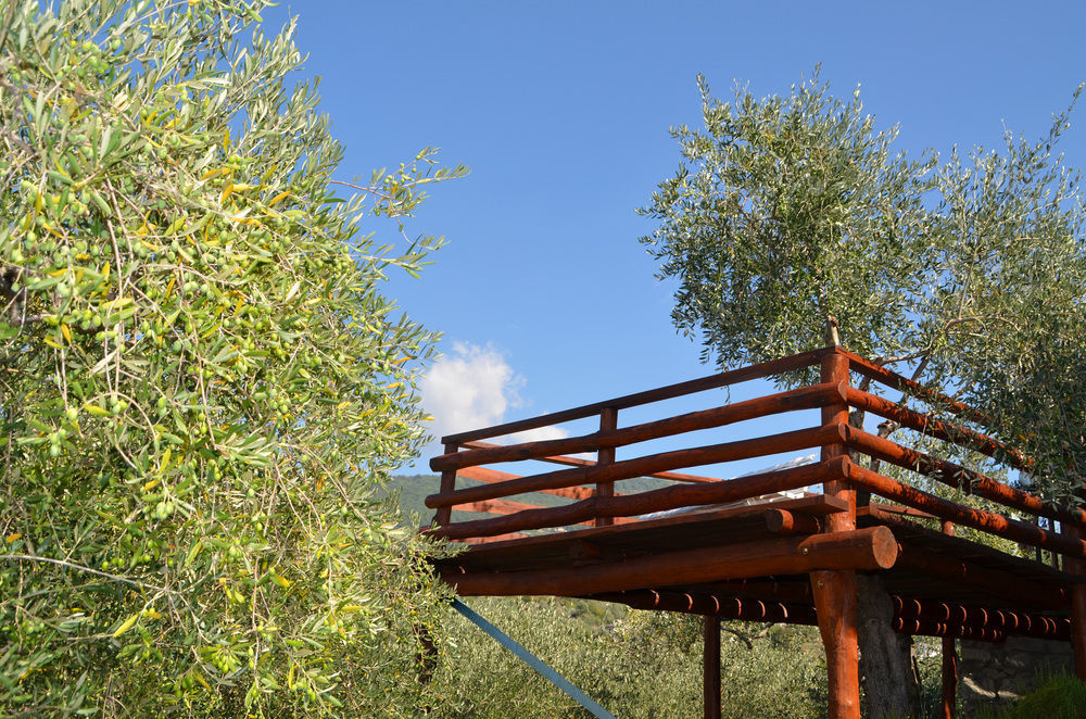 Agri Bed - L'Affittacamere In Collina - Guest Room On The Hill Lavagna Buitenkant foto